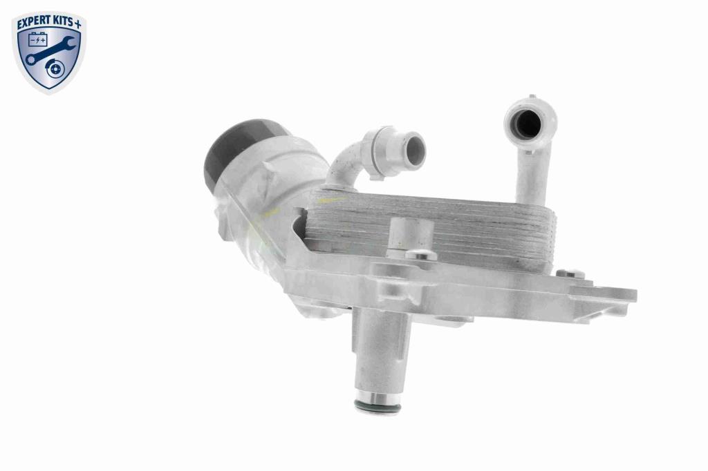 Radiador de aceite, aceite motor VEMO ref. V24-60-0010
