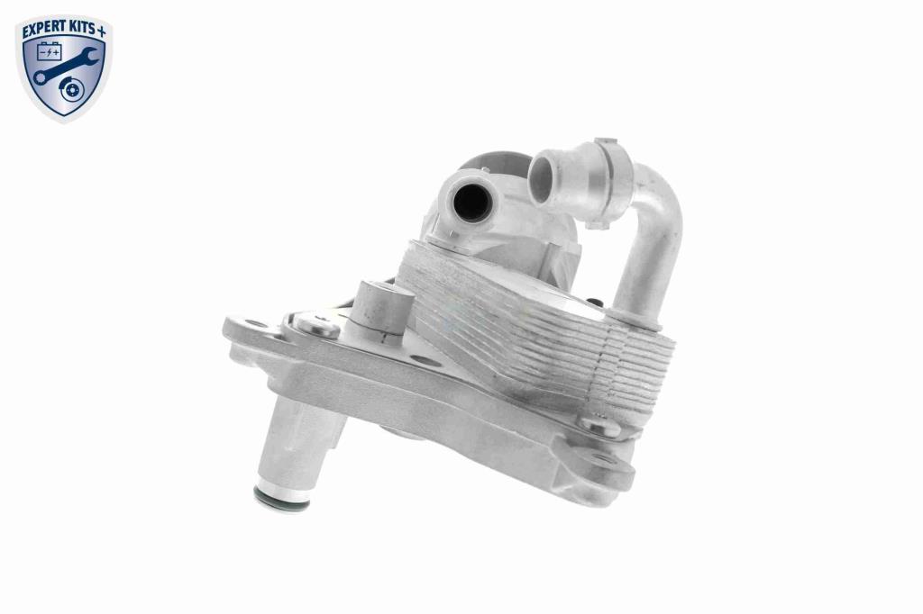 Radiador de aceite, aceite motor VEMO ref. V24-60-0010