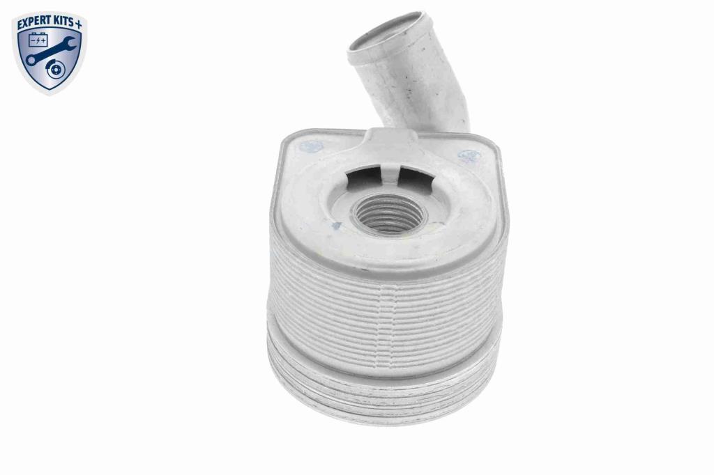 Radiador óleo motor VEMO ref. V24-60-0011