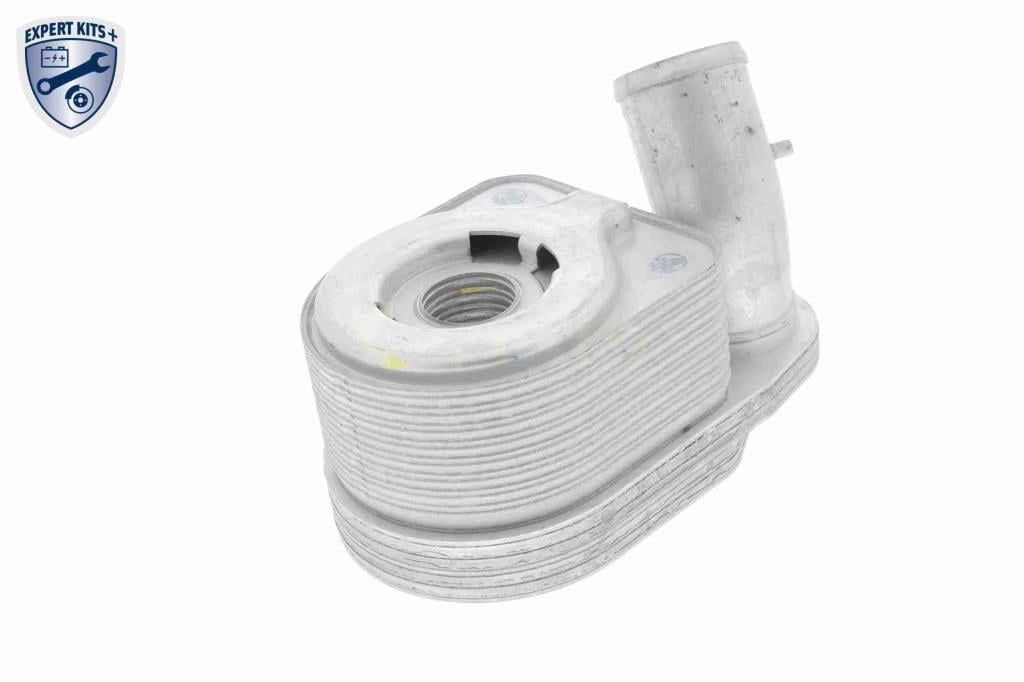 Radiador óleo motor VEMO ref. V24-60-0011