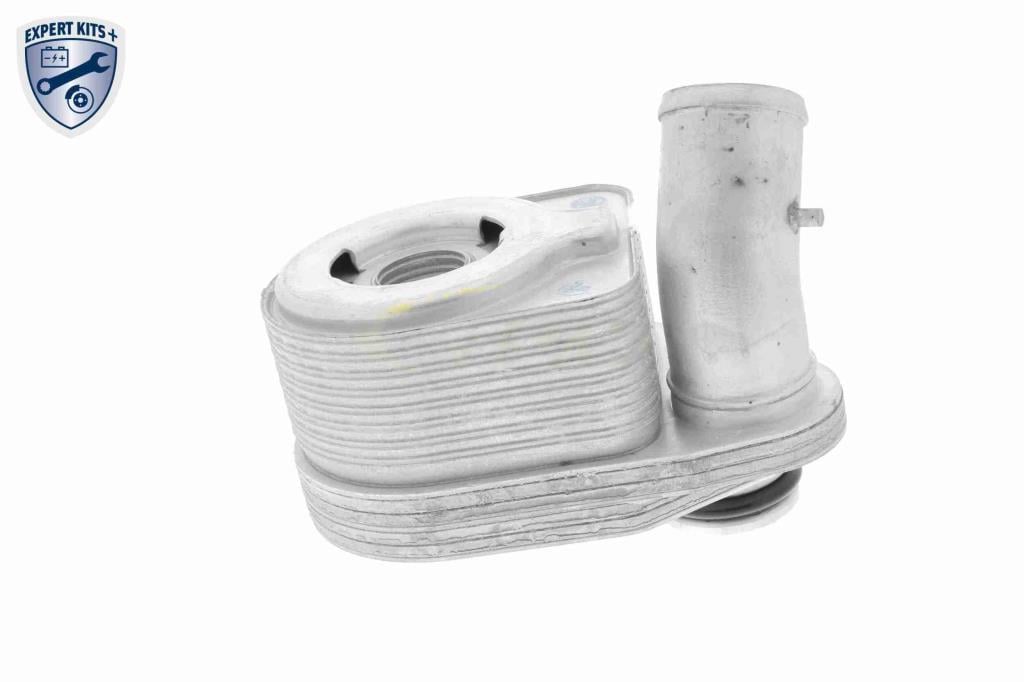 Radiador óleo motor VEMO ref. V24-60-0011