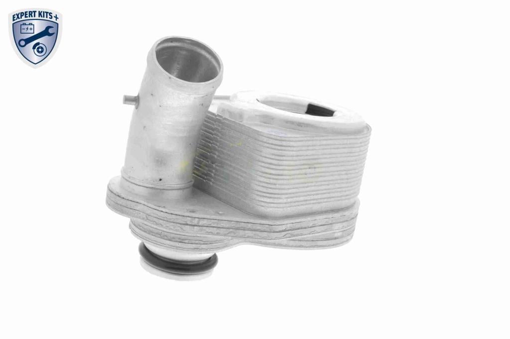 Radiador óleo motor VEMO ref. V24-60-0011