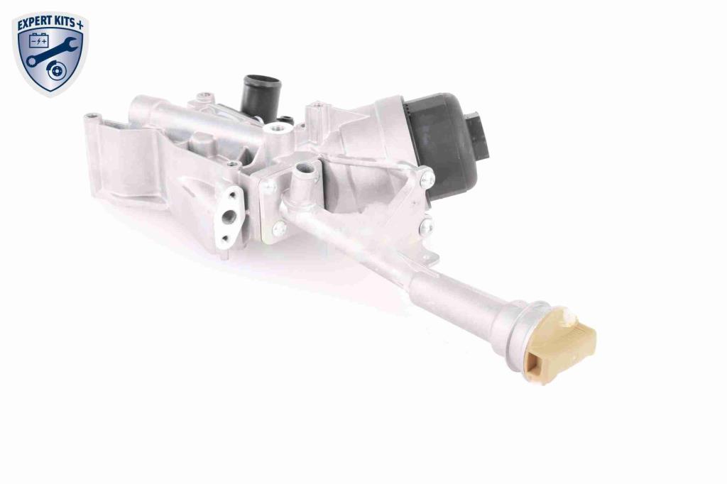 Radiador óleo motor VEMO ref. V24-60-0012