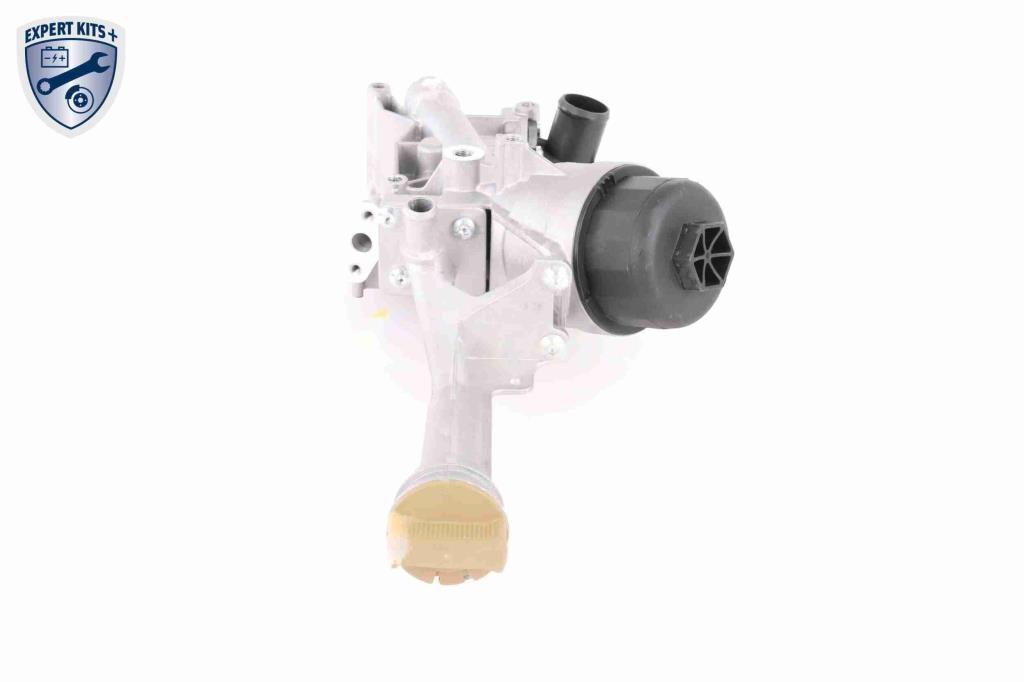 Radiador óleo motor VEMO ref. V24-60-0012