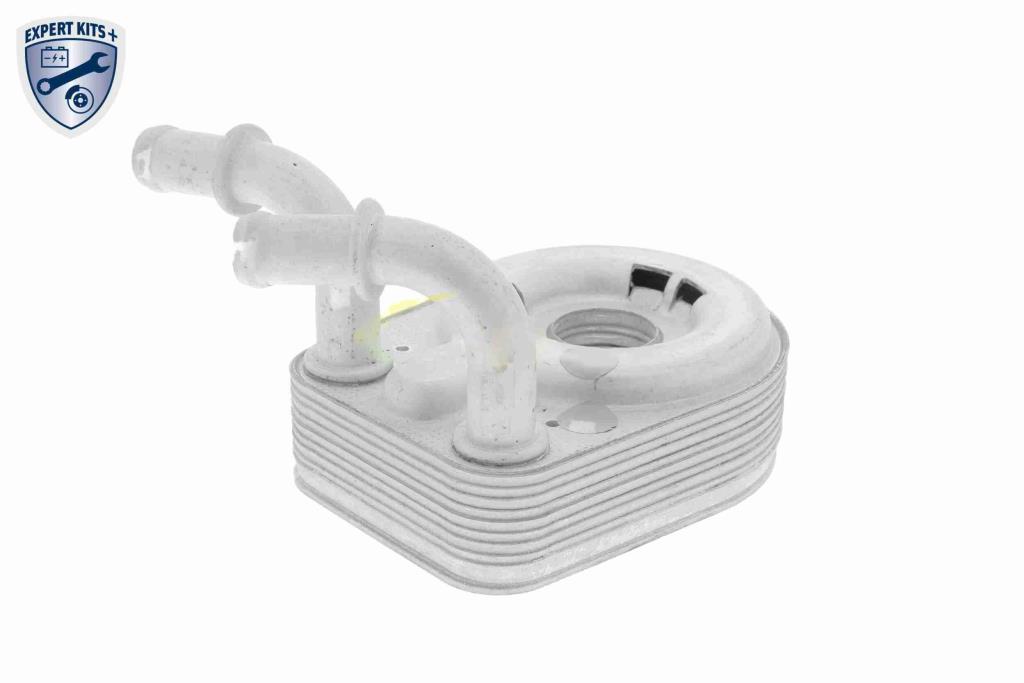 Radiador óleo motor VEMO ref. V24-60-0013