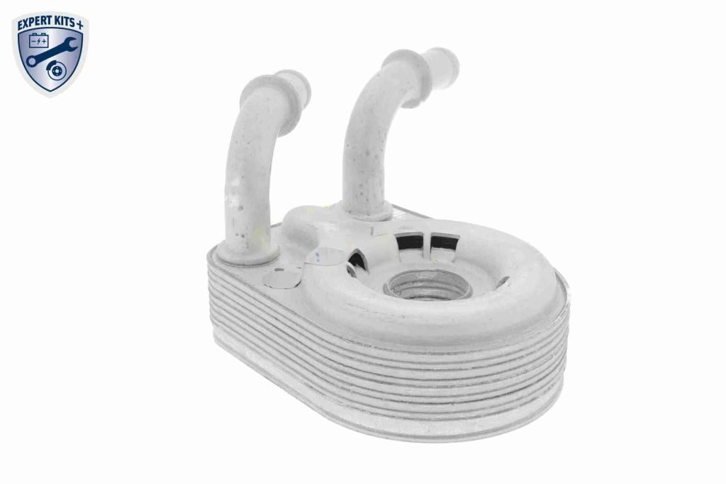 Radiador óleo motor VEMO ref. V24-60-0013