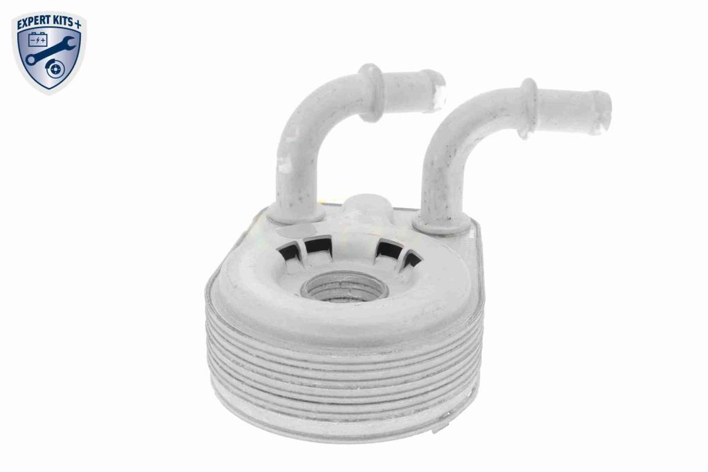 Radiador óleo motor VEMO ref. V24-60-0013