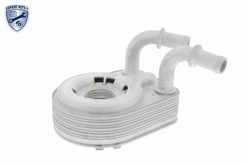 Radiador óleo motor VEMO ref. V24-60-0013