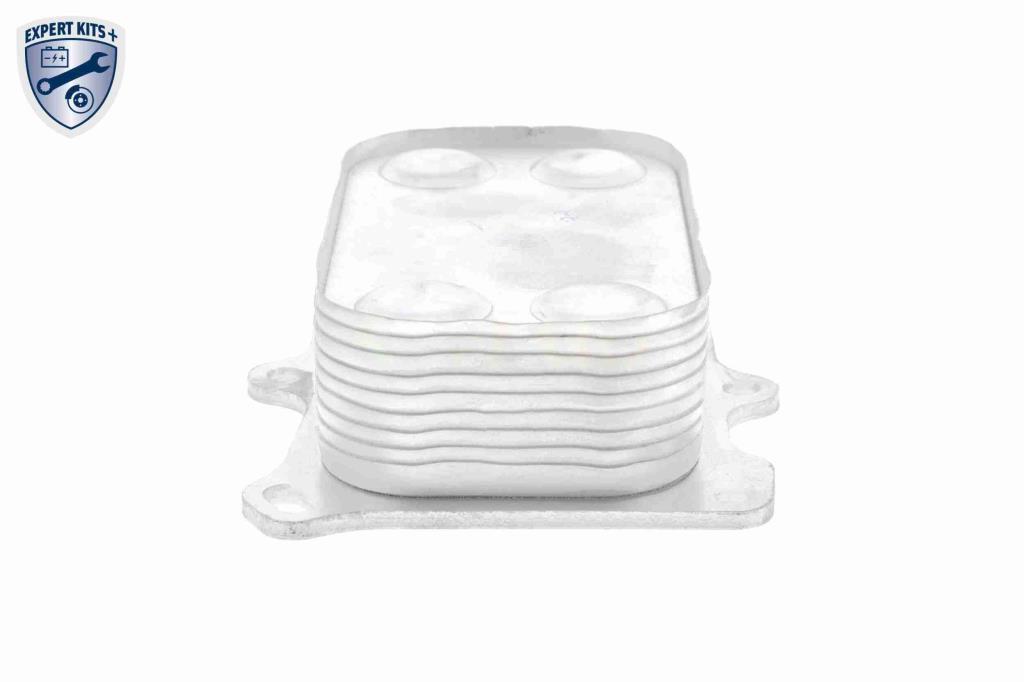 Radiador óleo motor VEMO ref. V24-60-0014