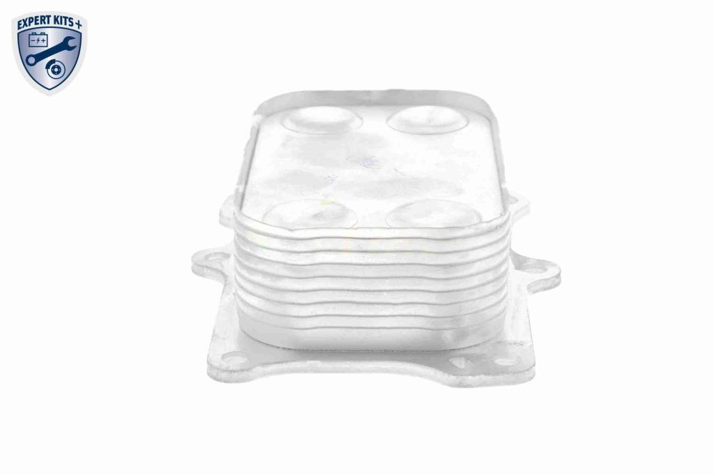 Radiador óleo motor VEMO ref. V24-60-0014