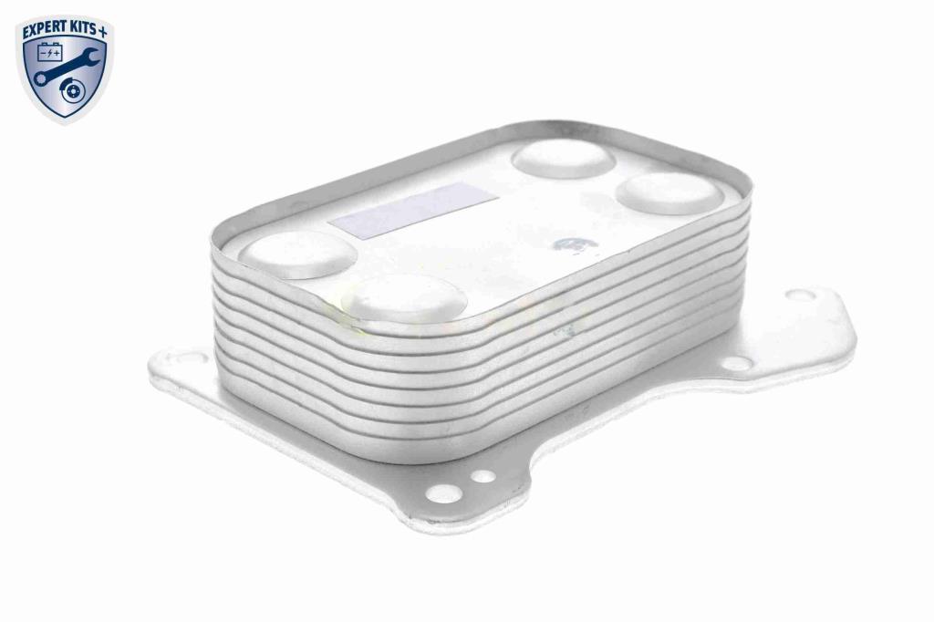 Radiador óleo motor VEMO ref. V24-60-0020