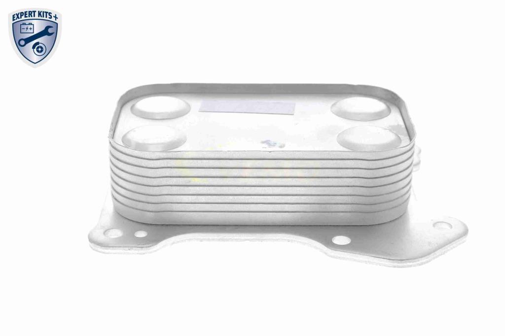 Radiador óleo motor VEMO ref. V24-60-0020