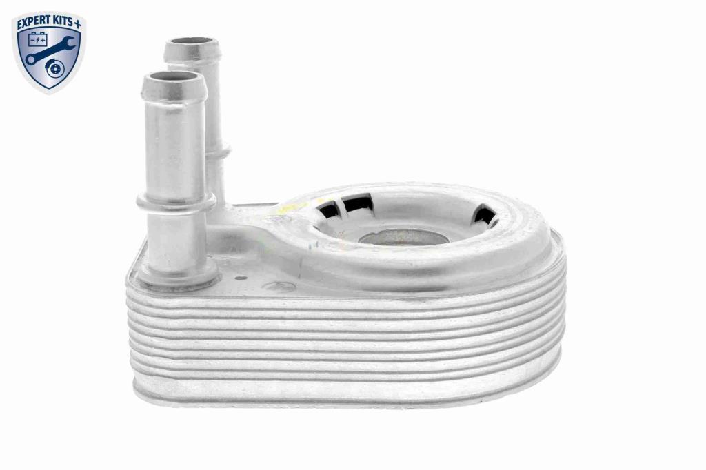 Radiador óleo motor VEMO ref. V24-60-0021
