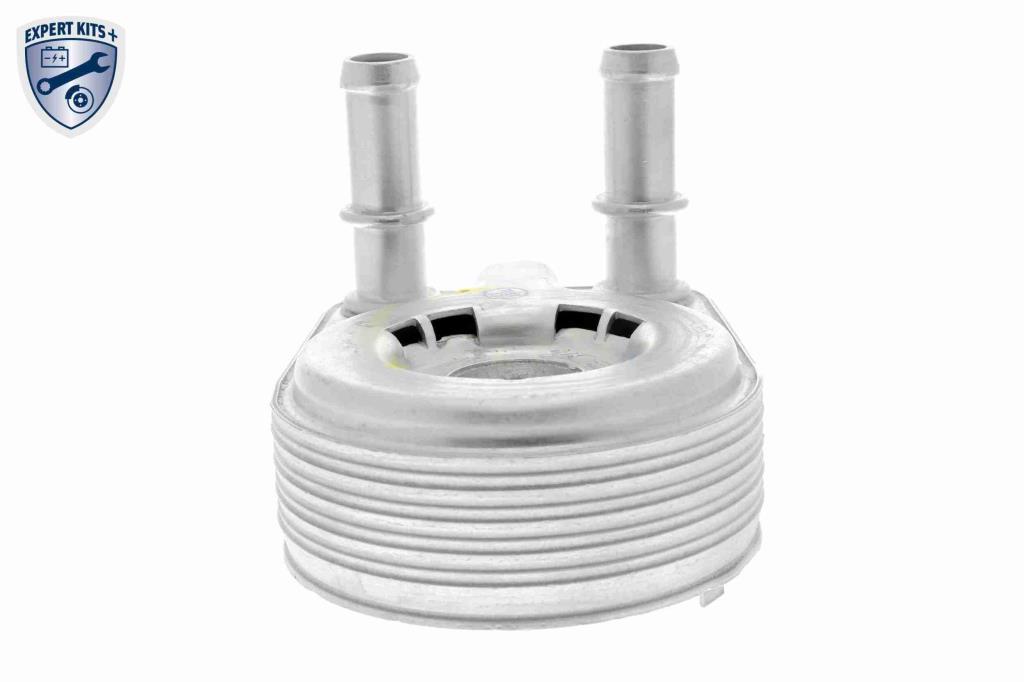 Radiador óleo motor VEMO ref. V24-60-0021