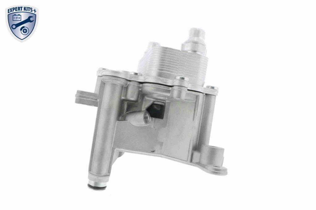 Radiador óleo motor VEMO ref. V24-60-0022