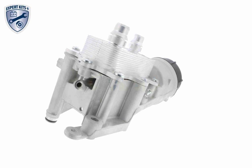 Radiador óleo motor VEMO ref. V24-60-0022