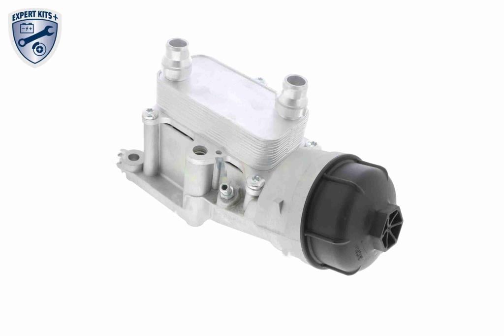 Radiador óleo motor VEMO ref. V24-60-0022