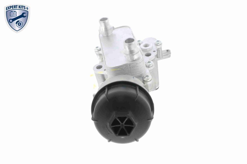 Radiador óleo motor VEMO ref. V24-60-0022