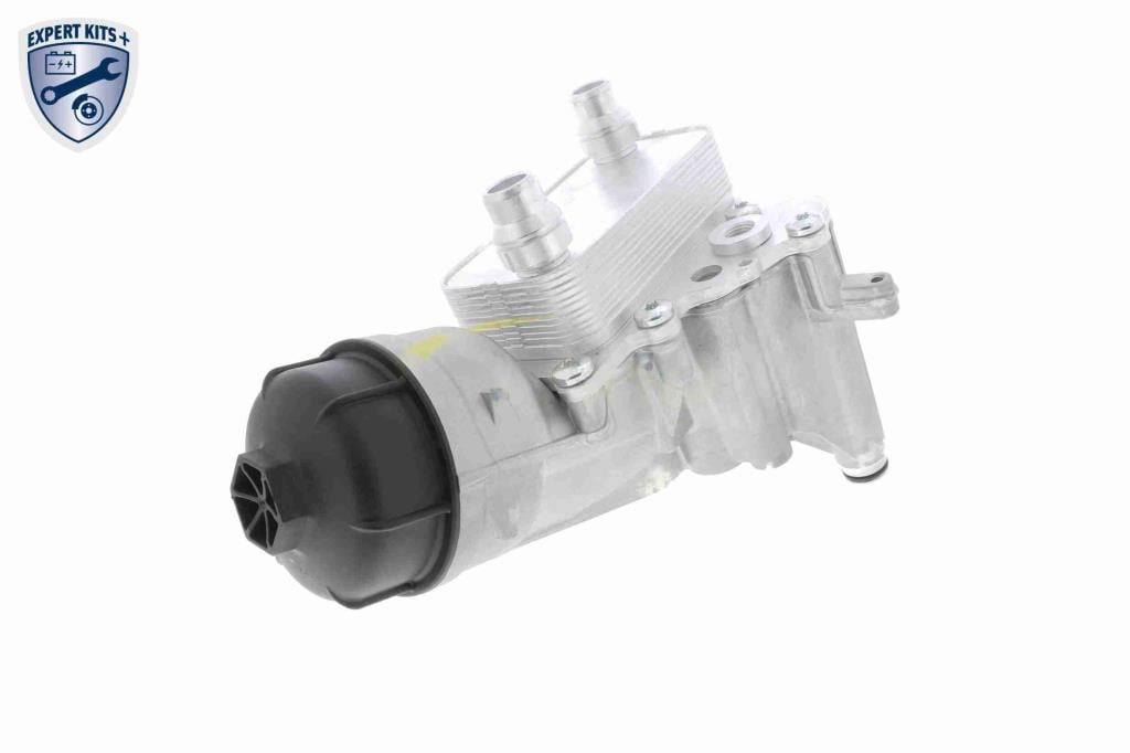 Radiador óleo motor VEMO ref. V24-60-0022