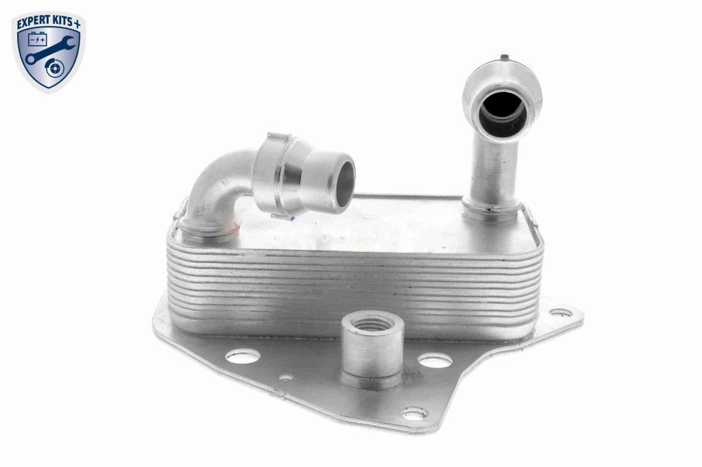 Radiador óleo motor VEMO ref. V24-60-0051