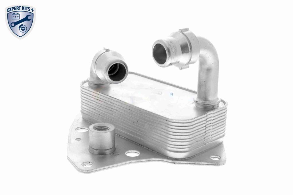 Radiador óleo motor VEMO ref. V24-60-0051