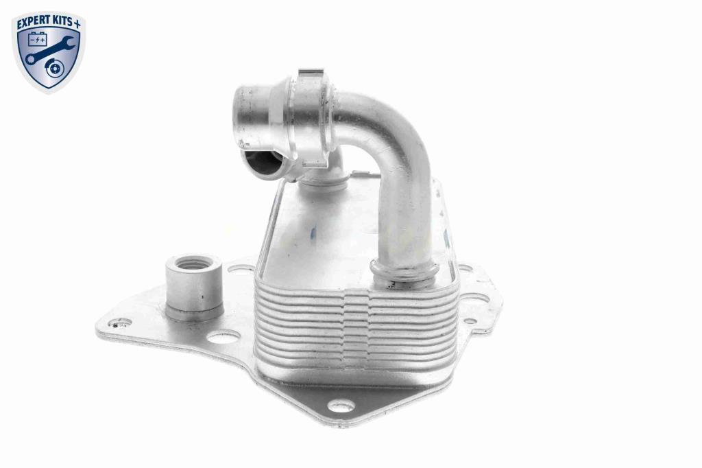 Radiador óleo motor VEMO ref. V24-60-0051