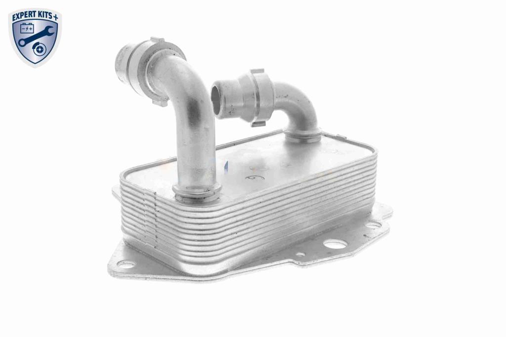 Radiador óleo motor VEMO ref. V24-60-0051