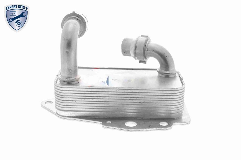 Radiador óleo motor VEMO ref. V24-60-0051