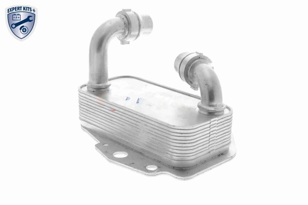 Radiador óleo motor VEMO ref. V24-60-0051
