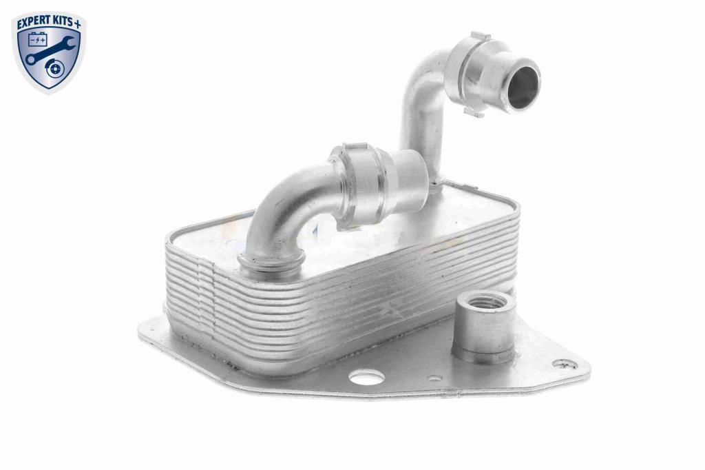 Radiador óleo motor VEMO ref. V24-60-0051