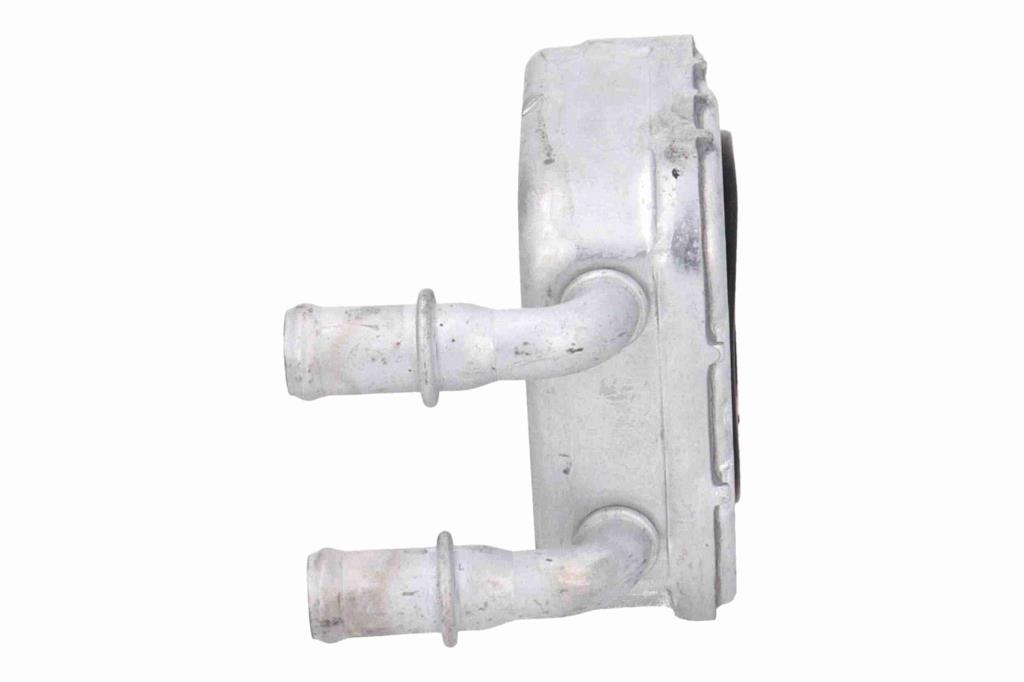 Radiador óleo motor VEMO ref. V24-60-0064