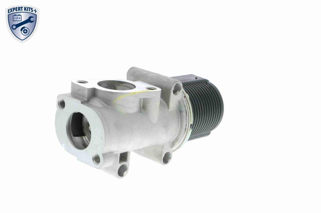 Válvula EGR VEMO V24-63-0010-1