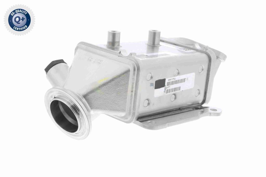 Radiador válvula egr VEMO ref. V24-63-0022
