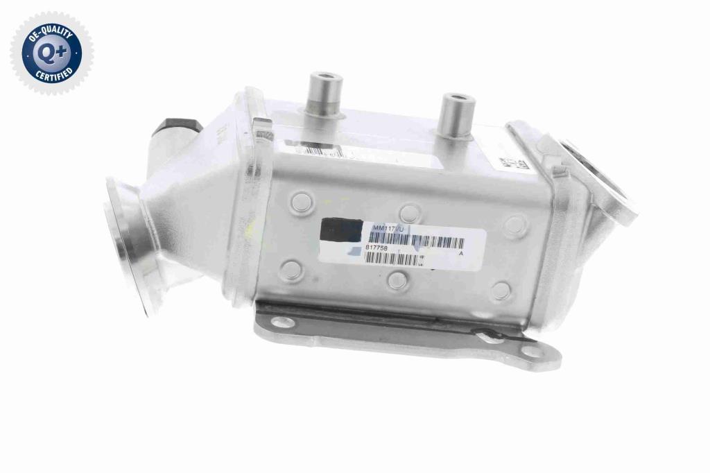 Radiador válvula egr VEMO ref. V24-63-0022