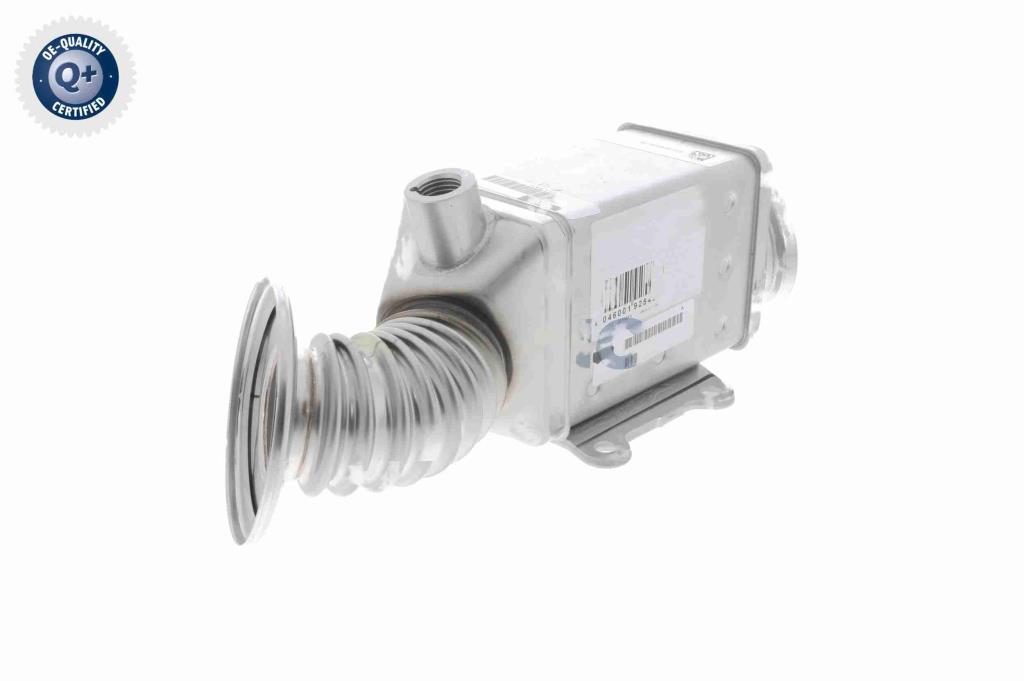 Radiador válvula egr VEMO ref. V24-63-0023