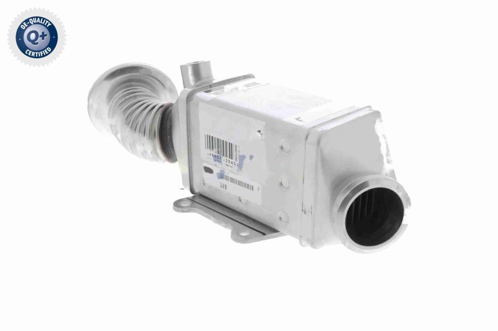 Radiador válvula egr VEMO ref. V24-63-0023