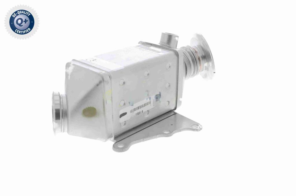 Radiador válvula egr VEMO ref. V24-63-0023