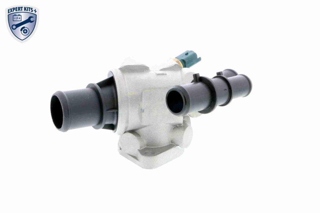 Thermostat d'eau (Calorstat) VEMO ref. V24-99-0003