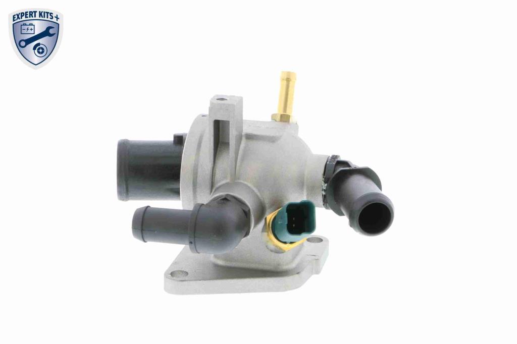 Thermostat d'eau (Calorstat) VEMO V24-99-0028