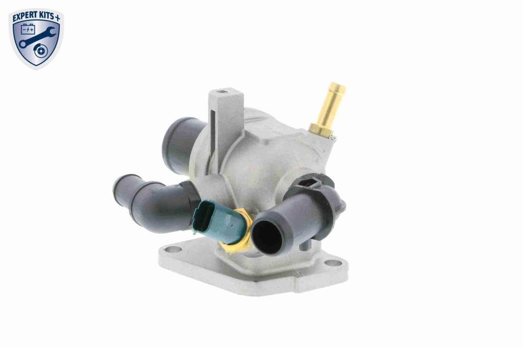 Thermostat d'eau (Calorstat) VEMO V24-99-0028