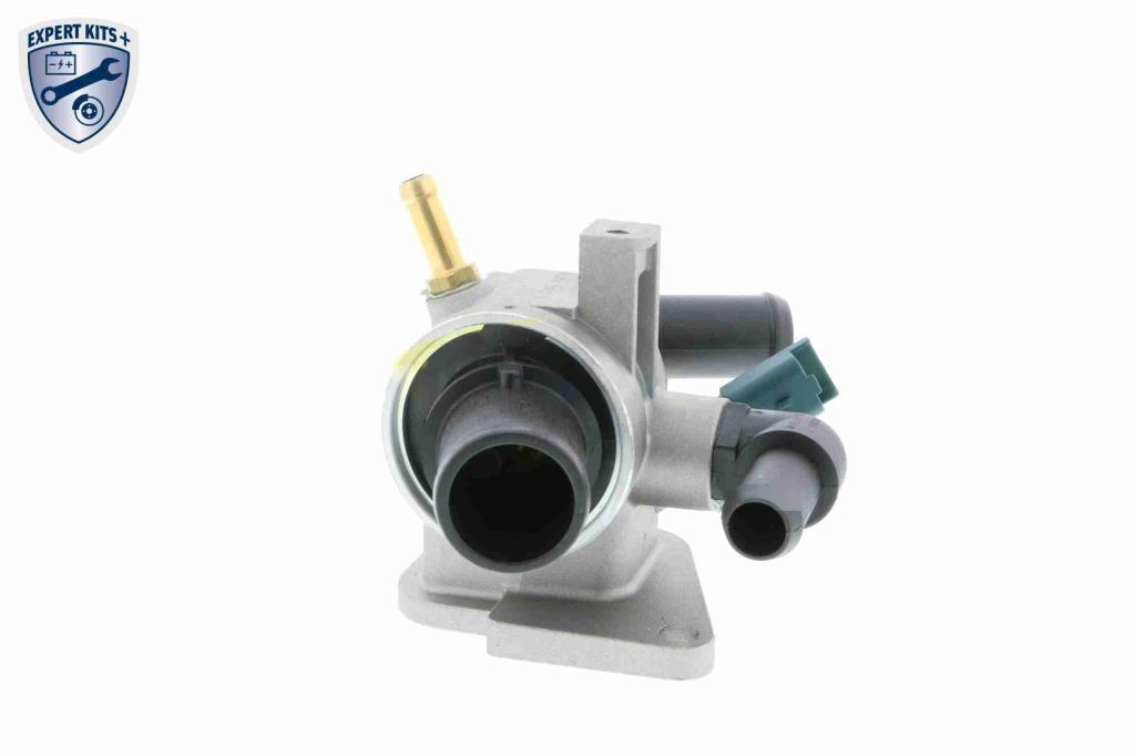 Thermostat d'eau (Calorstat) VEMO V24-99-0028