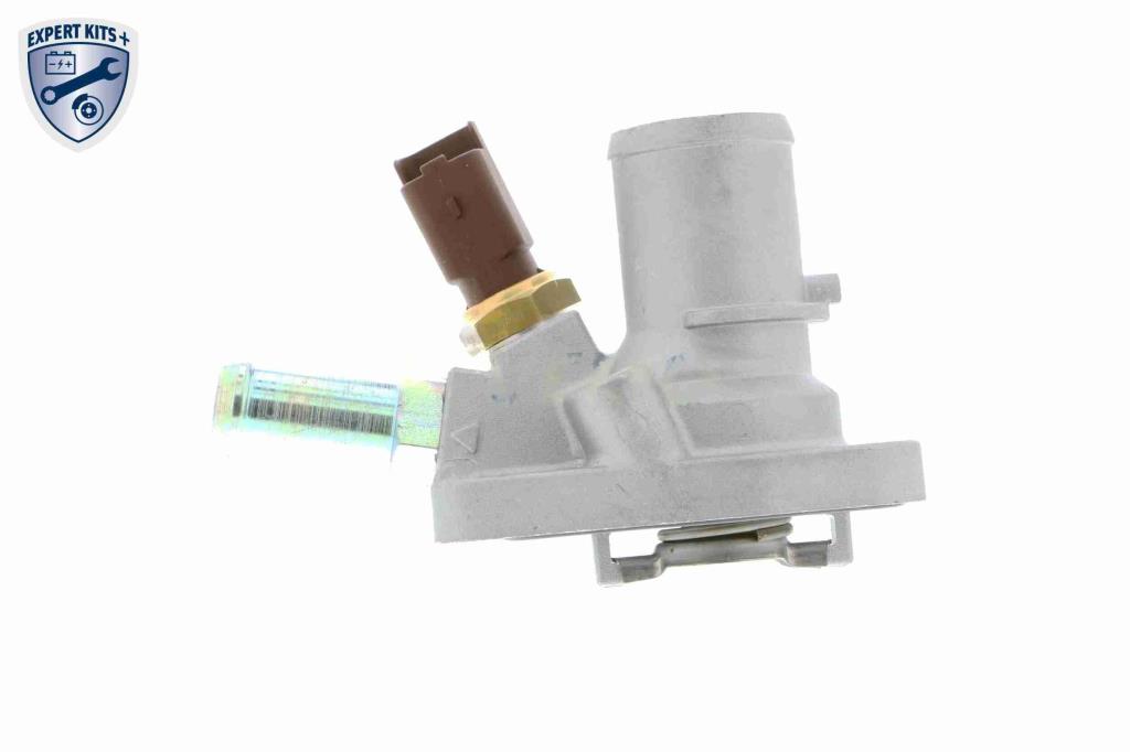 Thermostat d'eau (Calorstat) VEMO V24-99-0031