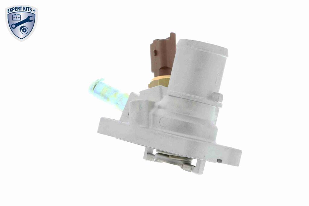 Thermostat d'eau (Calorstat) VEMO V24-99-0031