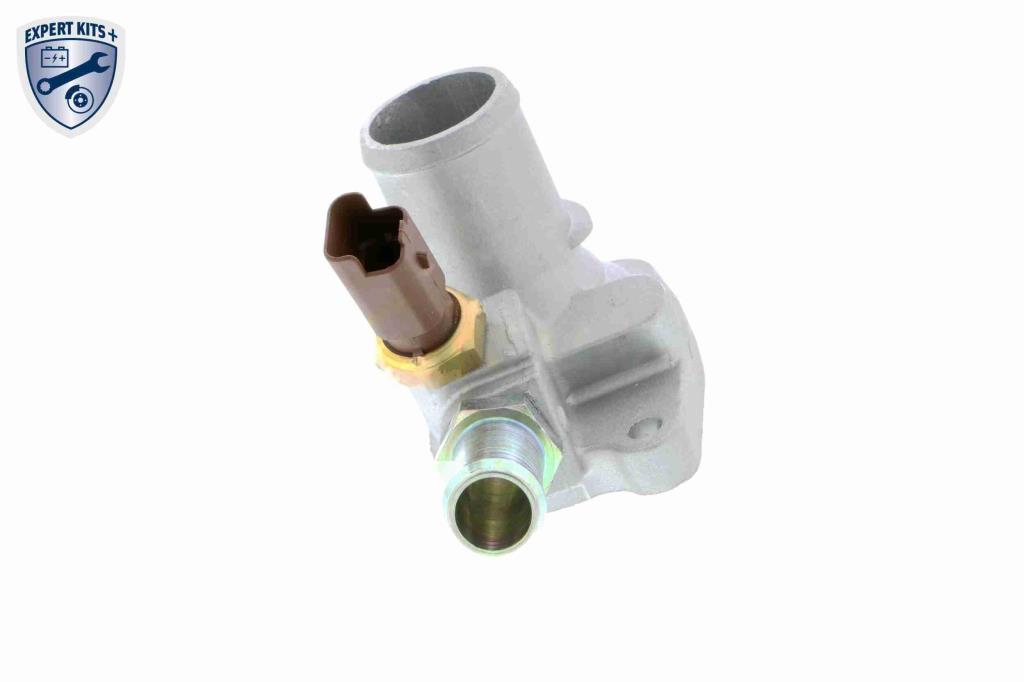 Thermostat d'eau (Calorstat) VEMO V24-99-0031