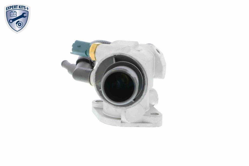 Thermostat d'eau (Calorstat) VEMO V24-99-0032