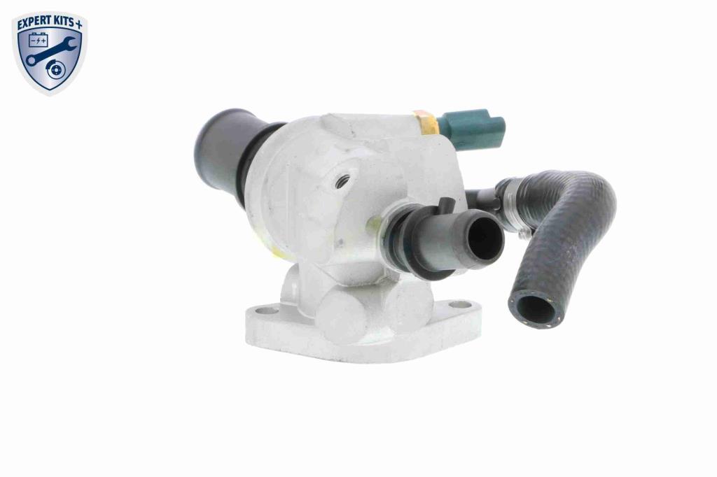 Thermostat d'eau (Calorstat) VEMO V24-99-0032