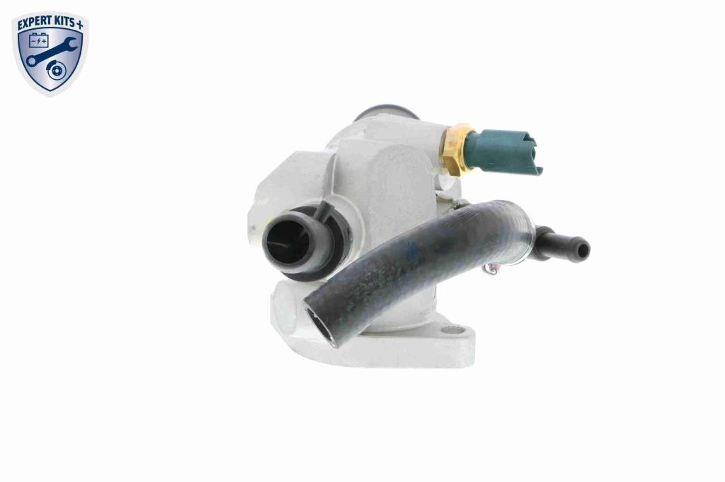 Thermostat d'eau (Calorstat) VEMO V24-99-0032