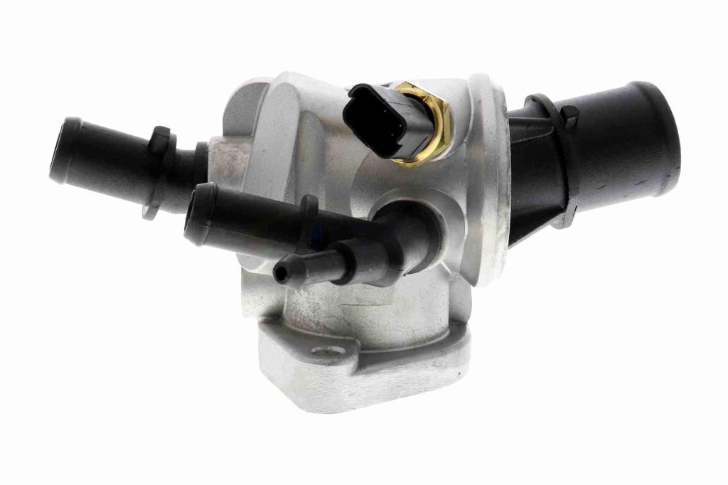Thermostat d'eau (Calorstat) VEMO V24-99-0040