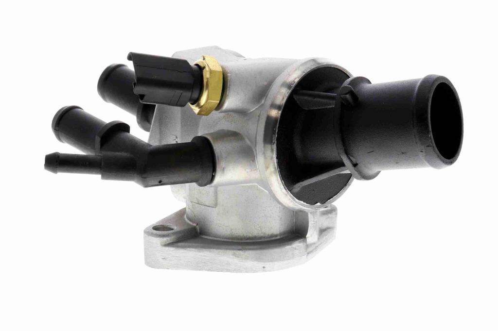 Thermostat d'eau (Calorstat) VEMO V24-99-0040