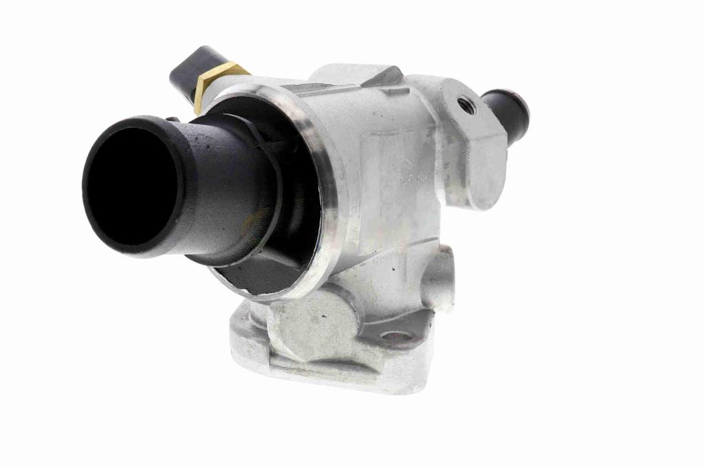 Thermostat d'eau (Calorstat) VEMO V24-99-0040